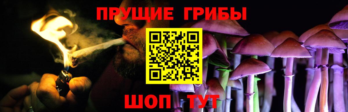 продажа наркотиков  Псилоцибиновые грибы ЛСД  Вход с VPN  Татарск  Псилоцибиновые грибы ЛСД 